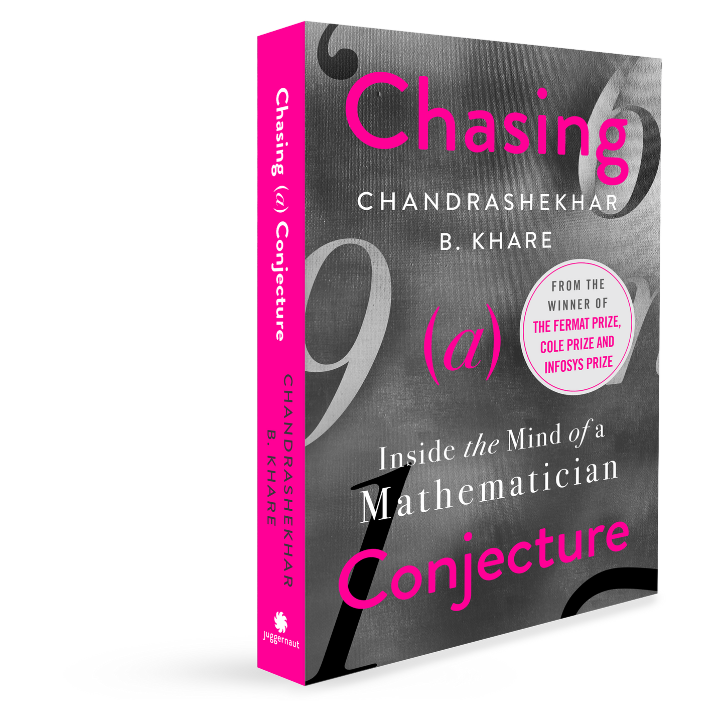 Chasing A Conjecture - Inside the Mind of a Mathematician