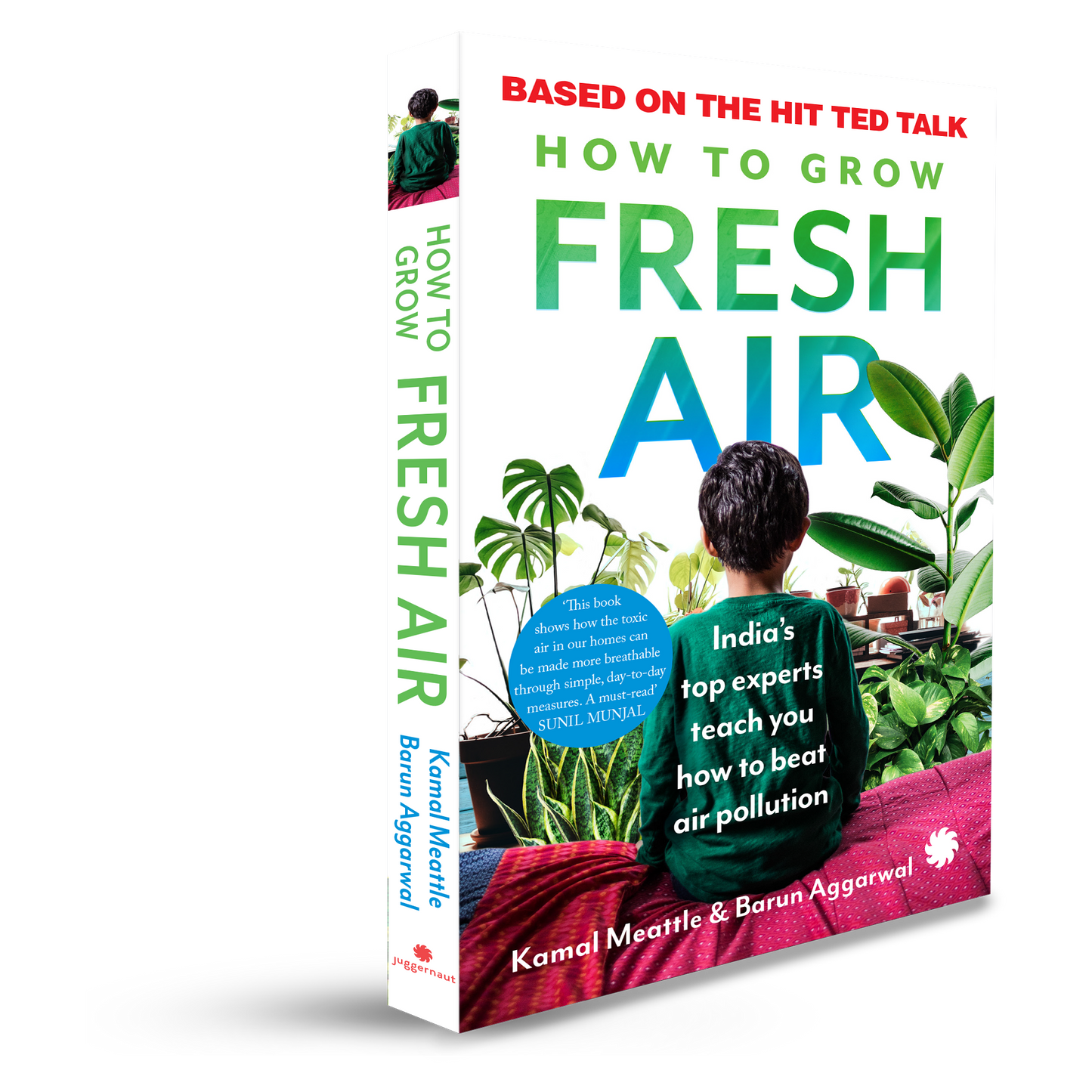 How To Grow Fresh Air: India's Top Experts Teach You How to Beat Air Pollution