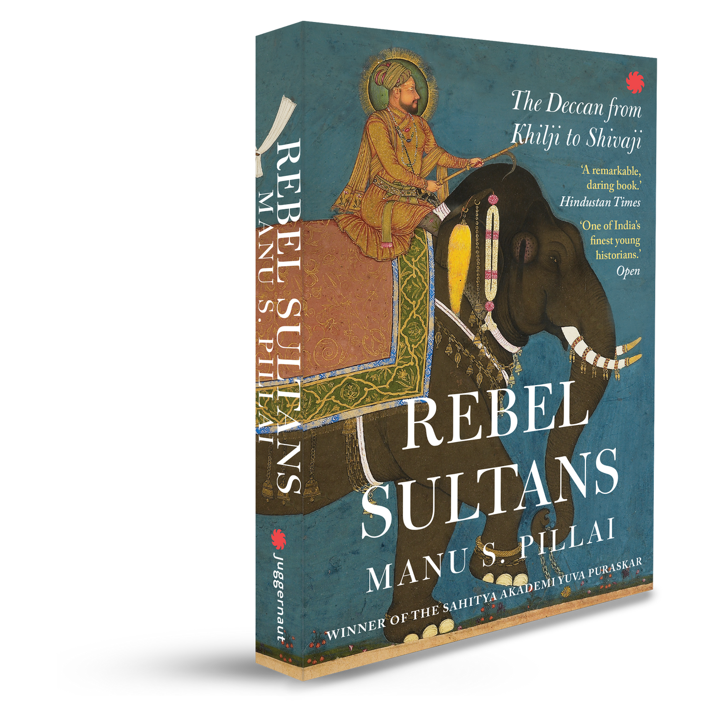 Rebel Sultans: The Deccan from Khilji to Shivaji