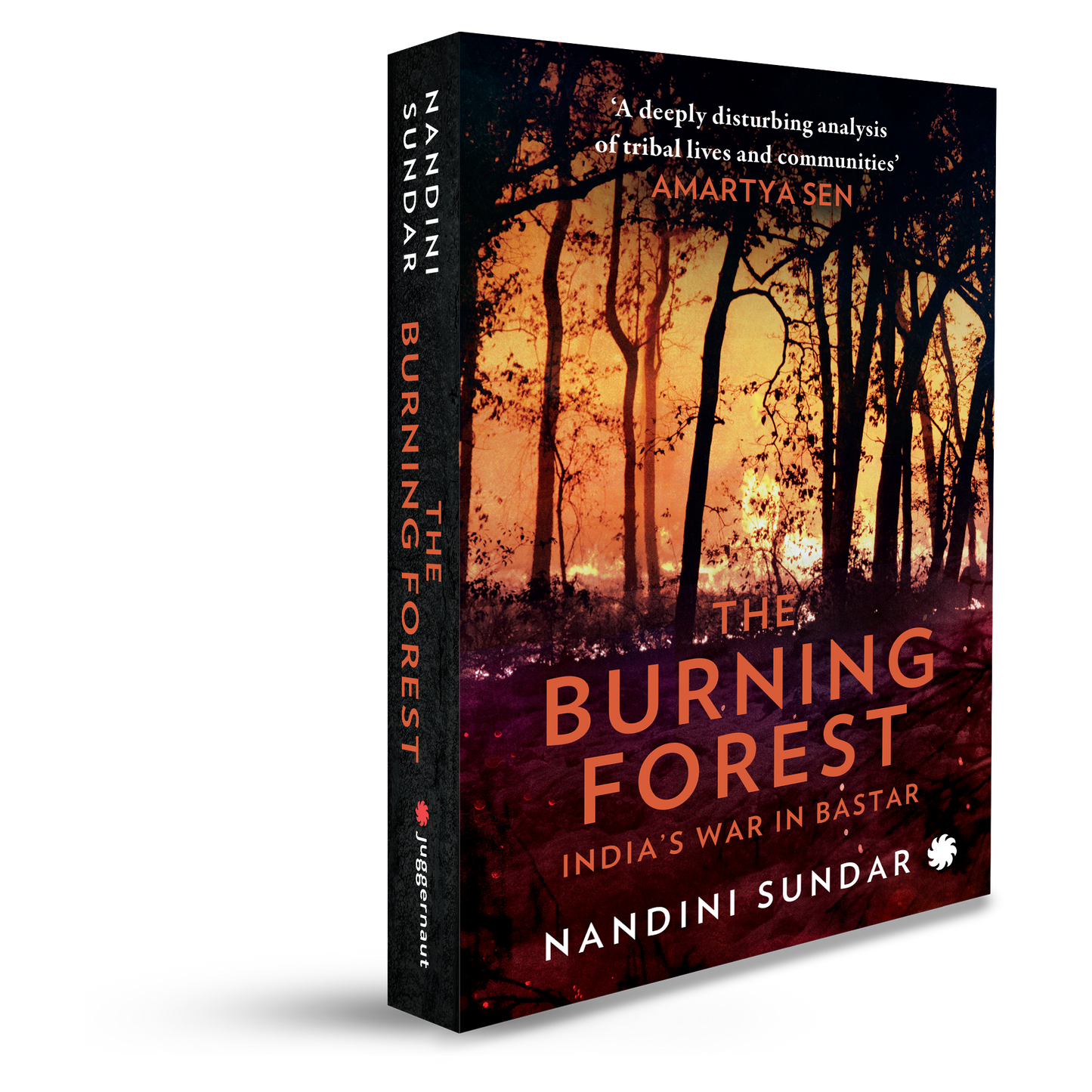 The Burning Forest: India's War in Bastar