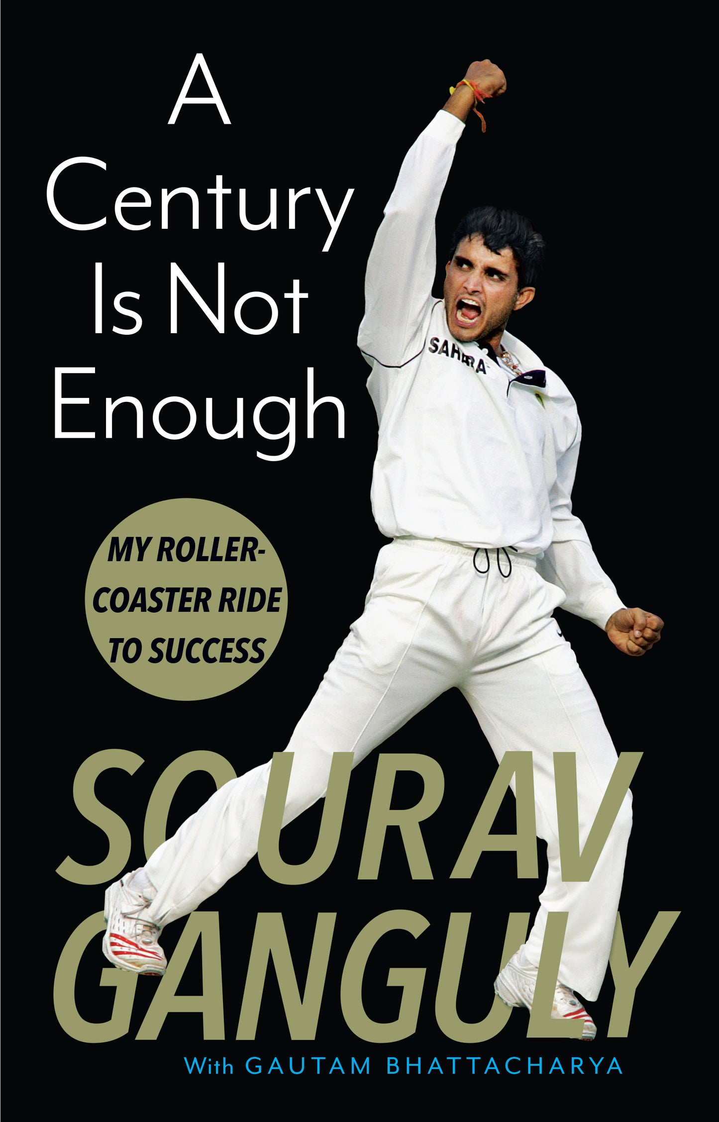 A Century Is Not Enough: My Roller Coaster Ride to Success