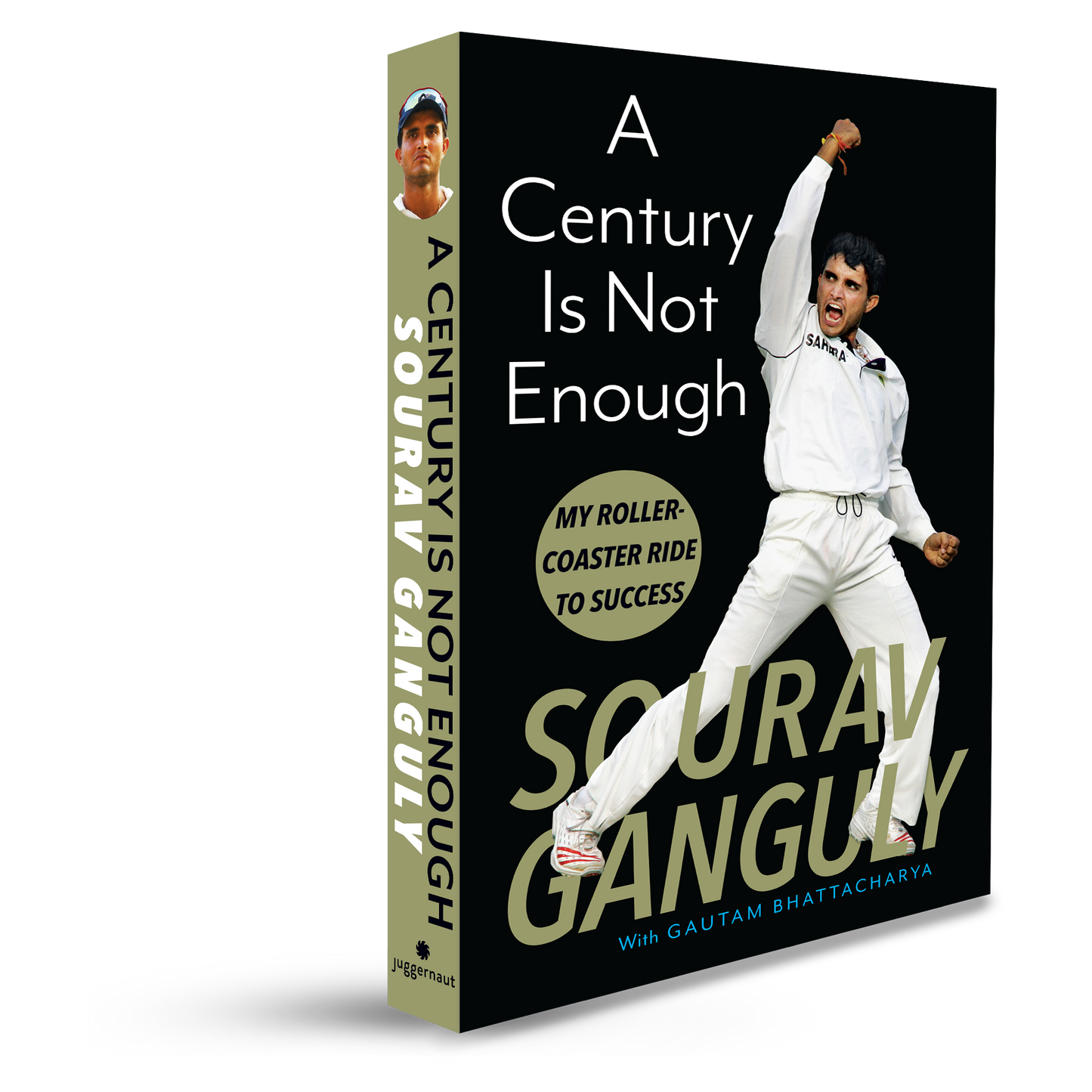 A Century Is Not Enough: My Roller Coaster Ride to Success