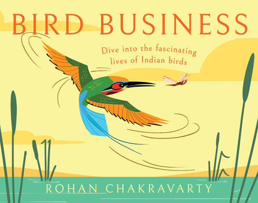 Bird Business