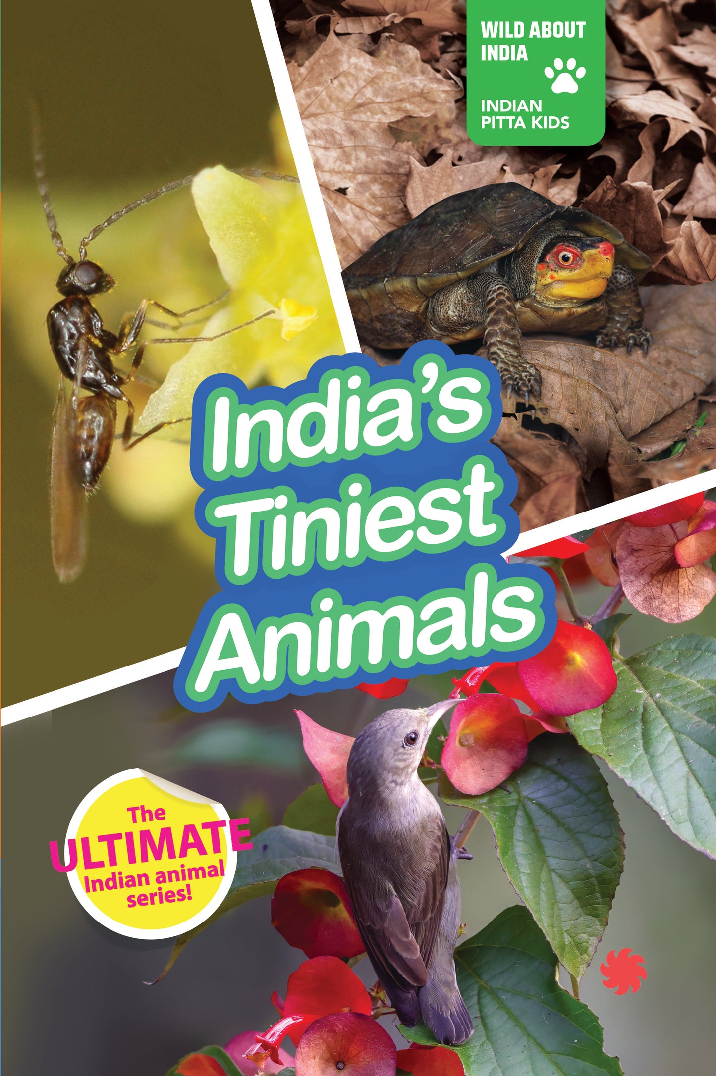 INDIA’S TINIEST ANIMALS : Wild About India - Engaging Book for Kids (Ages 5-15) - Fun Facts, Trivia Questions and Answers to Teach Your Children about the Animal Kingdom