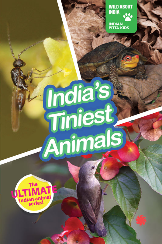 INDIA’S TINIEST ANIMALS : Wild About India - Engaging Book for Kids (Ages 5-15) - Fun Facts, Trivia Questions and Answers to Teach Your Children about the Animal Kingdom