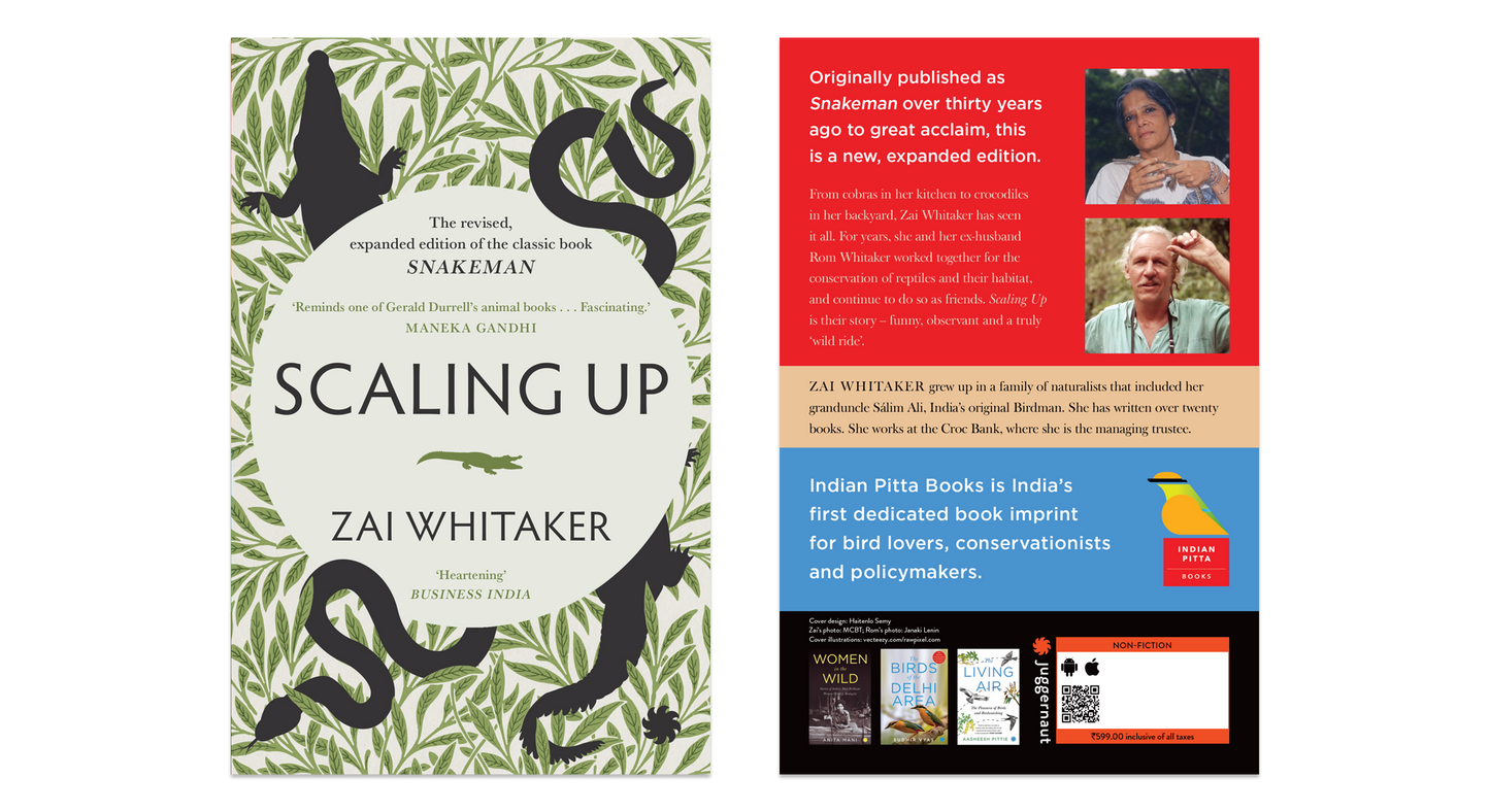 Scaling Up