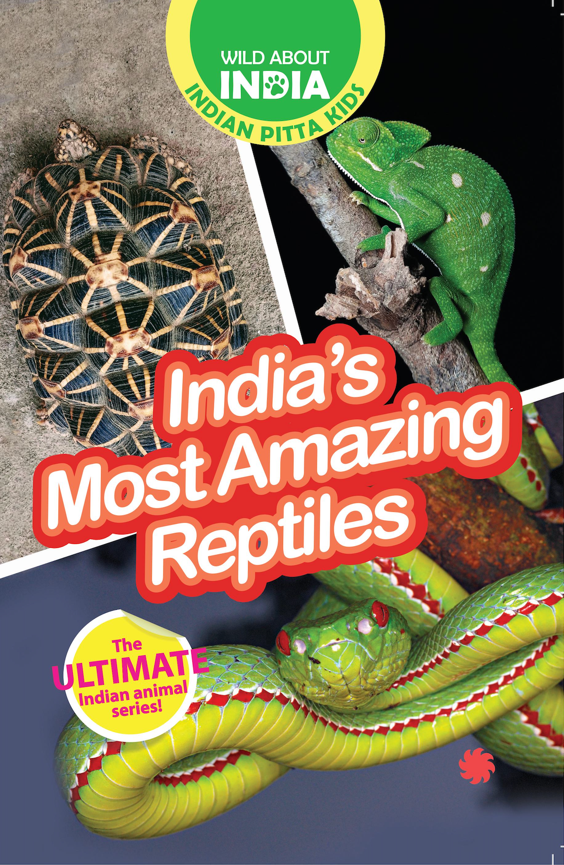 India’s Most Amazing Reptiles : Easy-To-Read Animal Books For Children; Ages 5–15 Years